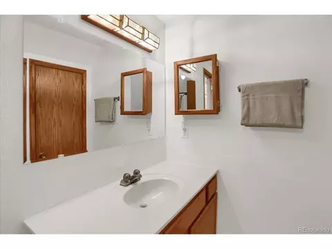 743 S Pine Dr, Bailey, CO 80421 photo 29