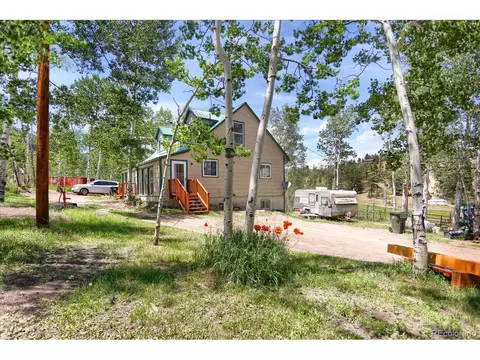 743 S Pine Dr, Bailey, CO 80421 photo 9