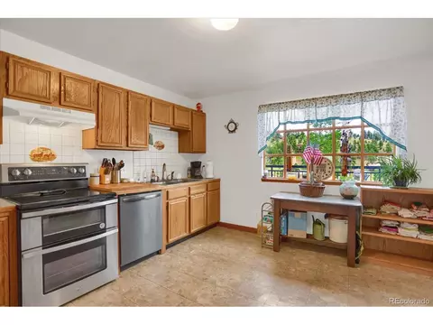 743 S Pine Dr, Bailey, CO 80421 photo 21