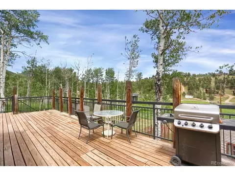 743 S Pine Dr, Bailey, CO 80421 photo 33