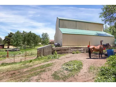 743 S Pine Dr, Bailey, CO 80421 photo 5