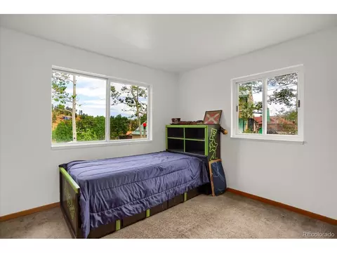 743 S Pine Dr, Bailey, CO 80421 photo 25