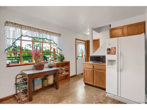 743 S Pine Dr, Bailey, CO 80421 photo 23