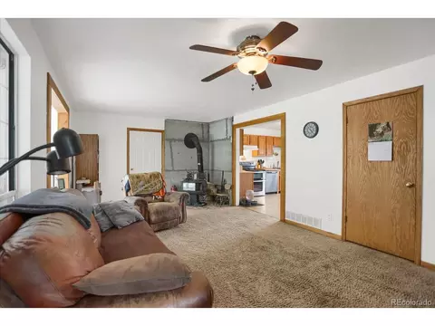 743 S Pine Dr, Bailey, CO 80421 photo 20
