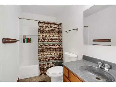 743 S Pine Dr, Bailey, CO 80421 photo 24