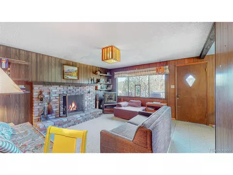 183 Timber Ridge Rd, Divide, CO 80814 photo 8
