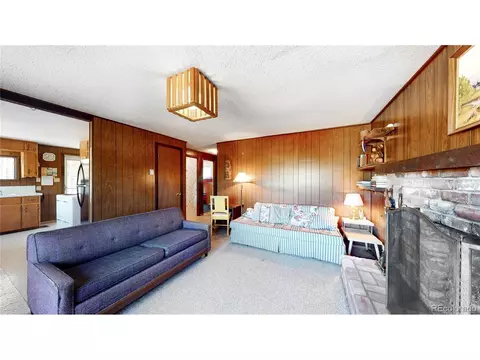 183 Timber Ridge Rd, Divide, CO 80814 photo 10