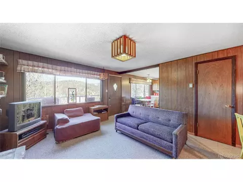 183 Timber Ridge Rd, Divide, CO 80814 photo 9