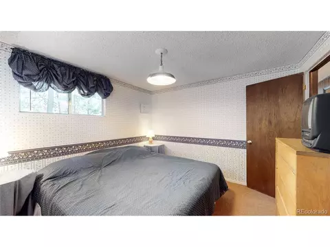 183 Timber Ridge Rd, Divide, CO 80814 photo 17
