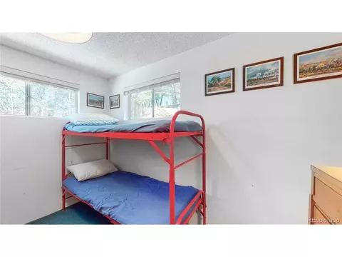 183 Timber Ridge Rd, Divide, CO 80814 photo 20