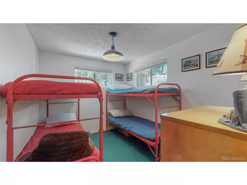 183 Timber Ridge Rd, Divide, CO 80814 photo 19