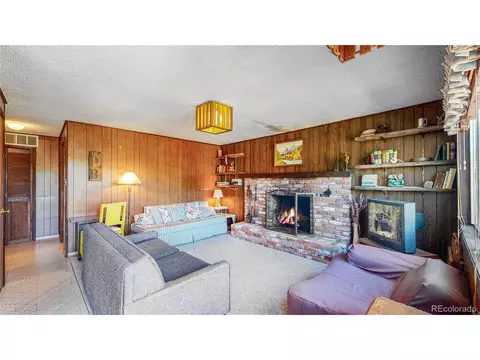 183 Timber Ridge Rd, Divide, CO 80814 photo 7