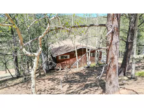 183 Timber Ridge Rd, Divide, CO 80814 photo 3