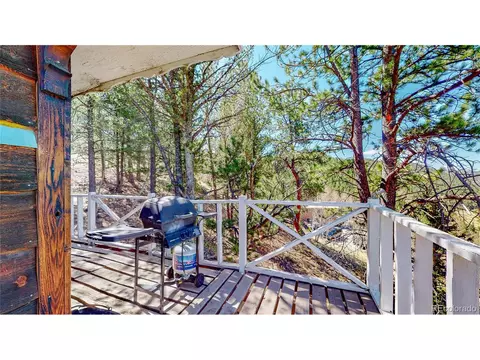 183 Timber Ridge Rd, Divide, CO 80814 photo 30