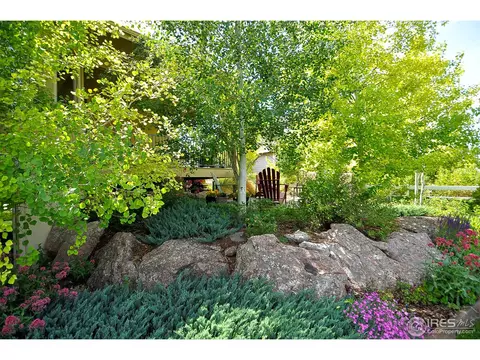 8343 Sand Dollar Dr, Windsor, CO 80528 photo 23