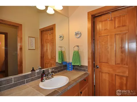 8343 Sand Dollar Dr, Windsor, CO 80528 photo 20