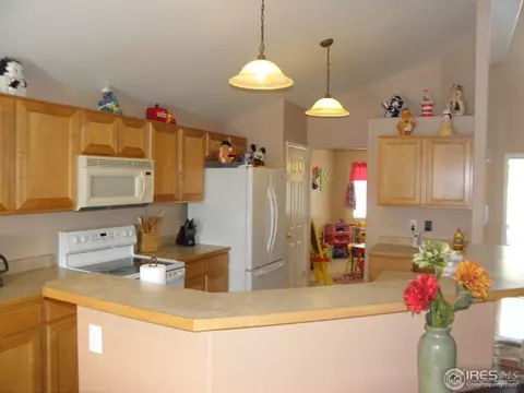 6290 Taylor St, Frederick, CO 80530 photo 3