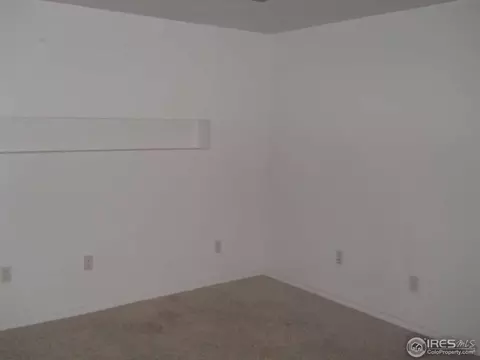 5 Locust St, Windsor, CO 80550 photo 20