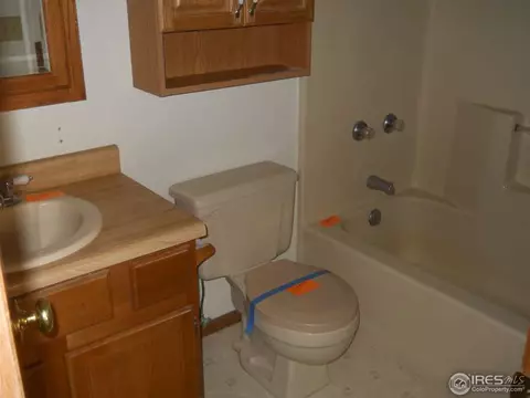 5 Locust St, Windsor, CO 80550 photo 17
