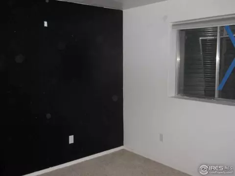 5 Locust St, Windsor, CO 80550 photo 22