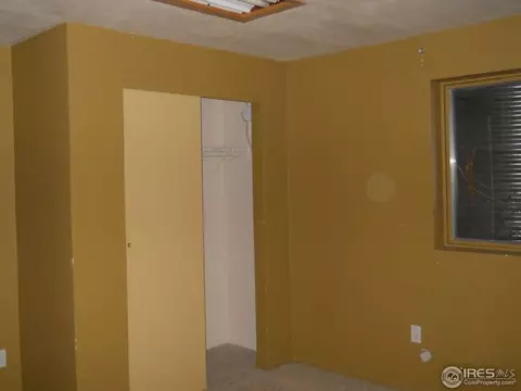 5 Locust St, Windsor, CO 80550 photo 18