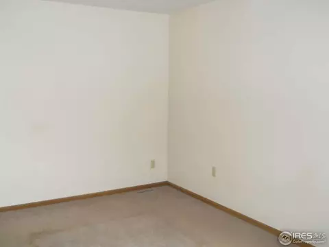 5 Locust St, Windsor, CO 80550 photo 14