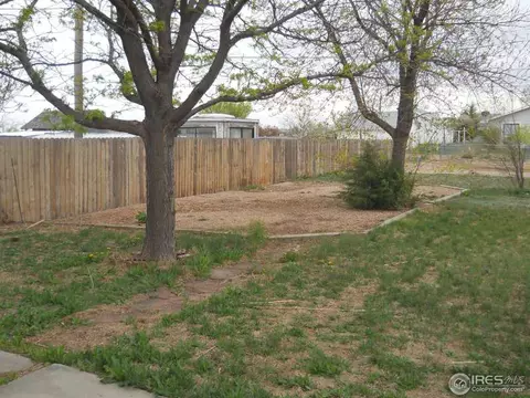 5 Locust St, Windsor, CO 80550 photo 25