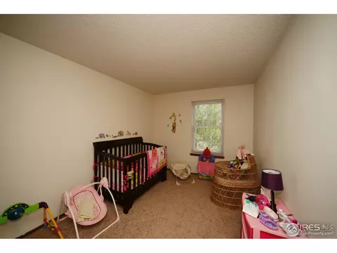 3668 E 98th Ct, Thornton, CO 80229 photo 5
