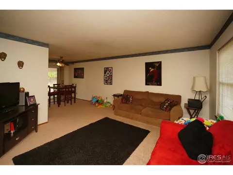 3668 E 98th Ct, Thornton, CO 80229 photo 10