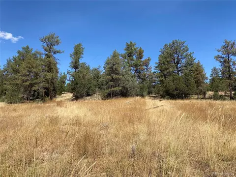 Undisclosed, Cotopaxi, CO 81223 photo 5