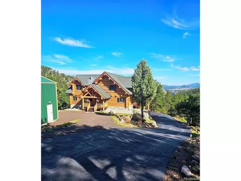 256 Blueberry Trl, Bailey, CO 80421 photo 6