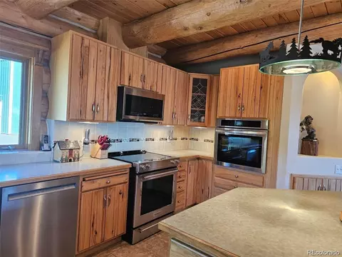 256 Blueberry Trl, Bailey, CO 80421 photo 16