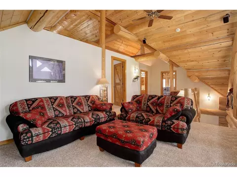 256 Blueberry Trl, Bailey, CO 80421 photo 35