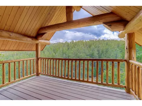 256 Blueberry Trl, Bailey, CO 80421 photo 31