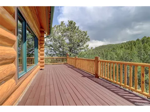 256 Blueberry Trl, Bailey, CO 80421 photo 42