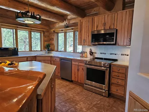 256 Blueberry Trl, Bailey, CO 80421 photo 17