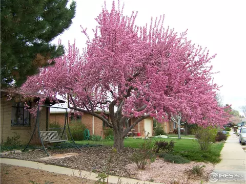2905 16th St, Boulder, CO 80304 photo 1