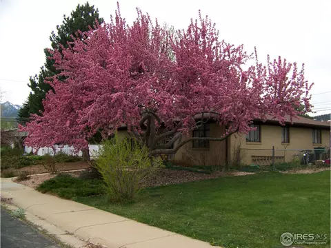 2905 16th St, Boulder, CO 80304 photo 4