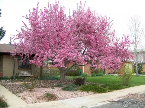 2905 16th St, Boulder, CO 80304 photo 5