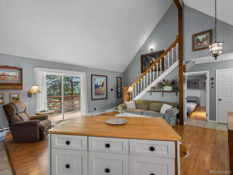 2137 Roland Dr, Bailey, CO 80421 photo 32