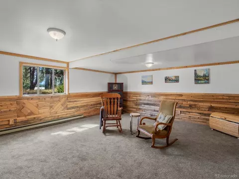 2137 Roland Dr, Bailey, CO 80421 photo 11