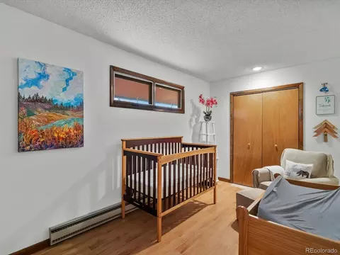 2137 Roland Dr, Bailey, CO 80421 photo 9