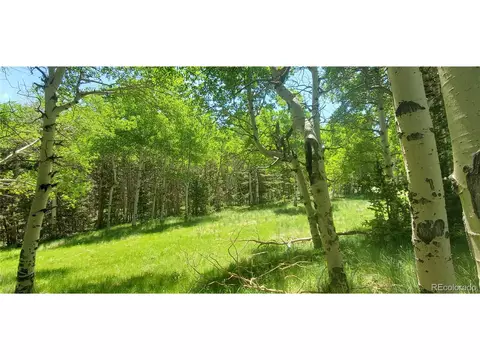 Undisclosed, Fort Garland, CO 81133