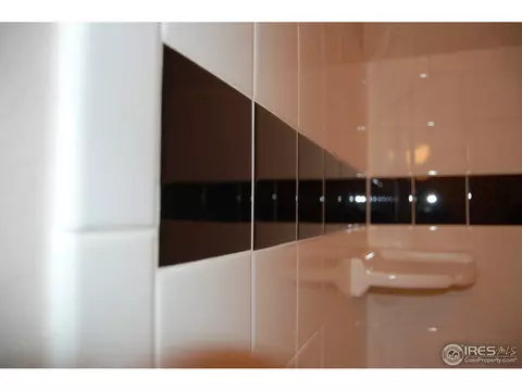 340 Dunmire St, Frederick, CO 80530 photo 16