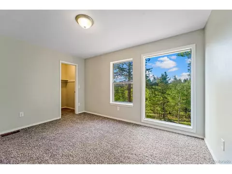5540 North Rd, Divide, CO 80814 photo 13