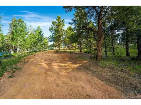 5540 North Rd, Divide, CO 80814 photo 4