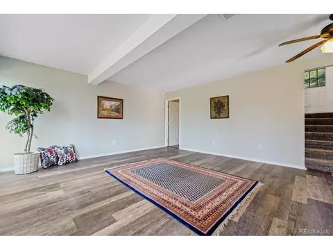 5540 North Rd, Divide, CO 80814 photo 19