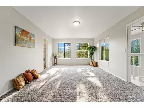 5540 North Rd, Divide, CO 80814 photo 14