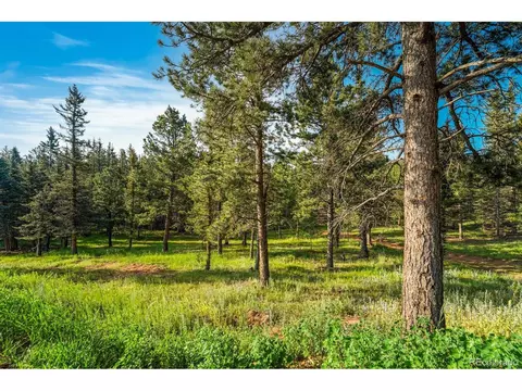5540 North Rd, Divide, CO 80814 photo 9