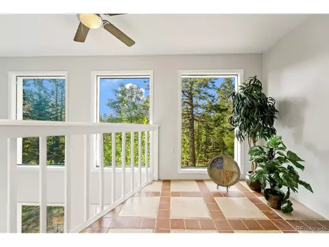 5540 North Rd, Divide, CO 80814 photo 16